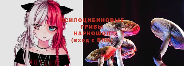стаф Беломорск