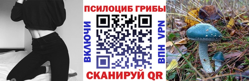 МЕГА рабочий сайт  Хвалынск  Псилоцибиновые грибы мухоморы 